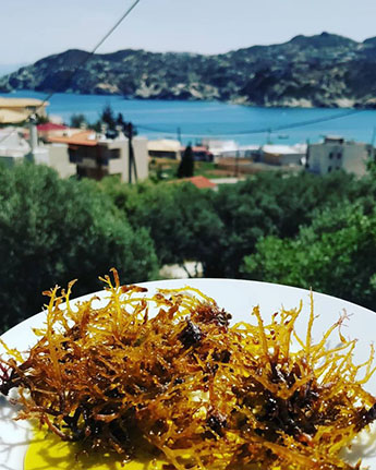 Traditional Greek Tavern o Nikolas in Agia Pelagia